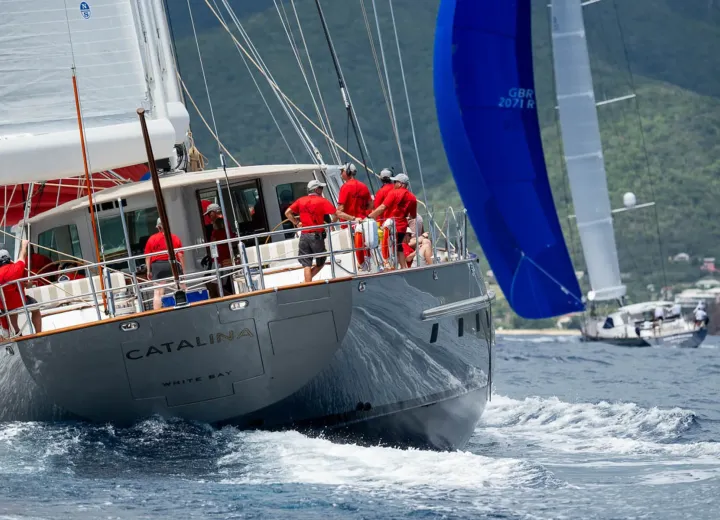 SY Catalina testimonial image 1